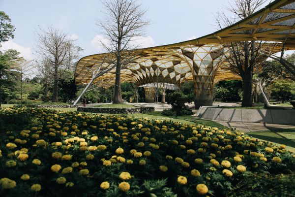 Comment organiser une visite des jardins botaniques en Malaisie sans guide?