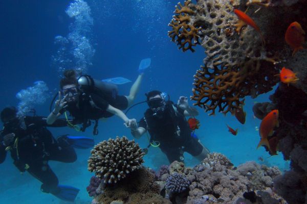 Où trouver les meilleures plages pour la plongée sous-marine en Égypte?